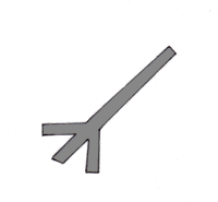 Xamagon